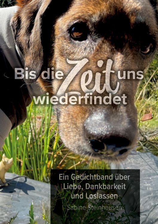 Produktbild: Bis die Zeit uns wiederfindet