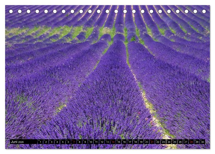 Produktbild: Provence (Tischkalender 2026 DIN A5 quer), CALVENDO Monatskalender