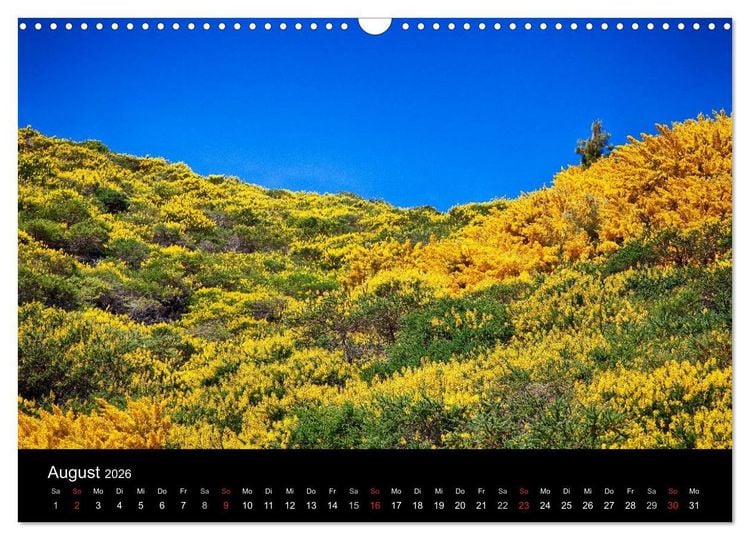 Produktbild: Naturblicke - La Palma (Wandkalender 2026 DIN A3 quer), CALVENDO Monatskalender