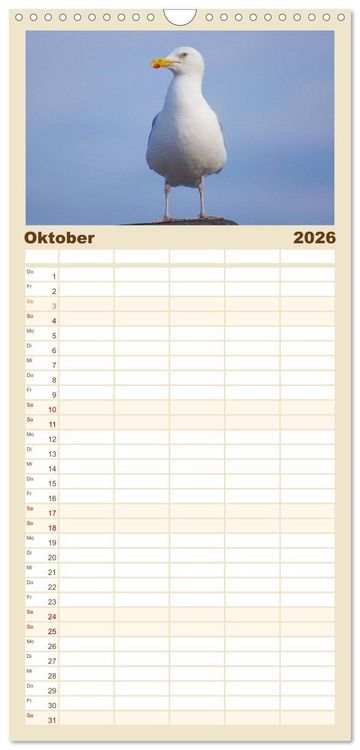 Produktbild: Familienplaner 2026 - An der Nordsee mit 5 Spalten (Wandkalender, 21 x 45 cm) CALVENDO