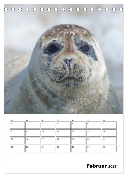 Produktbild: Liebenswerte Robben (Tischkalender 2027 DIN A5 hoch), CALVENDO Monatskalender