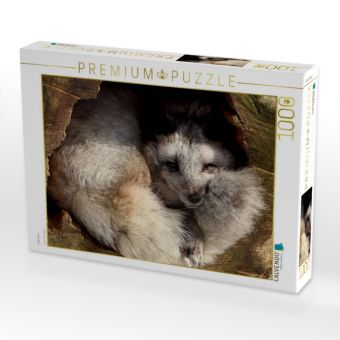 Produktbild: CALVENDO Puzzle Polarfuchs | 1000 Teile Lege-Gr&ouml;&szlig;e 64x48cm Foto-Puzzle f&uuml;r gl&uuml;ckliche Stunden