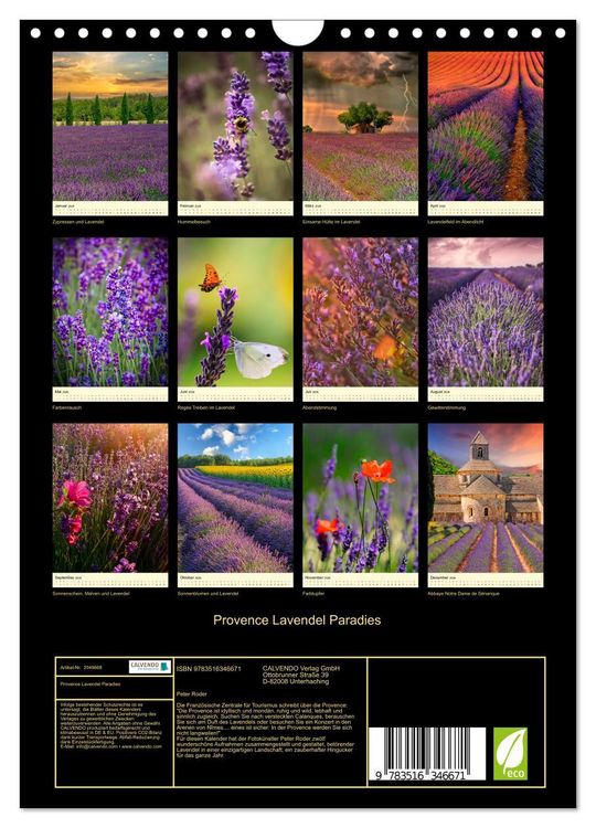 Produktbild: Provence Lavendel Paradies (Wandkalender 2026 DIN A4 hoch), CALVENDO Monatskalender
