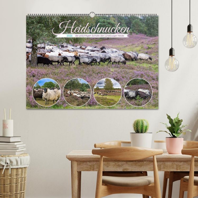 Produktbild: Heidschnucken, die pr&auml;chtigen Schafe der L&uuml;neburger Heide (Wandkalender 2026 DIN A2 quer), CALVENDO Monatskalender