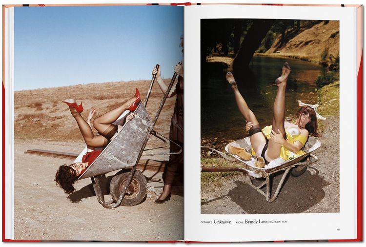 Produktbild: The Little Big Book of Legs