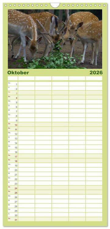 Produktbild: Familienplaner 2026 - Welt der Tiere mit 5 Spalten (Wandkalender, 21 x 45 cm) CALVENDO