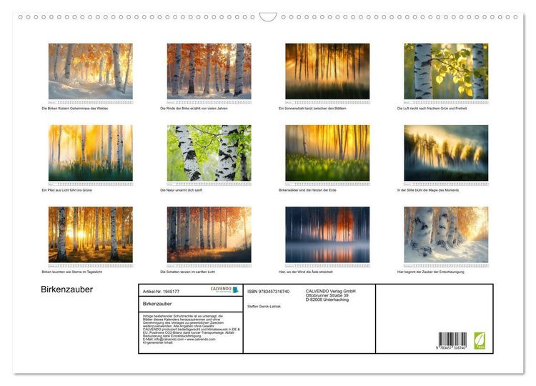 Produktbild: Birkenzauber (Wandkalender 2026 DIN A2 quer), CALVENDO Monatskalender
