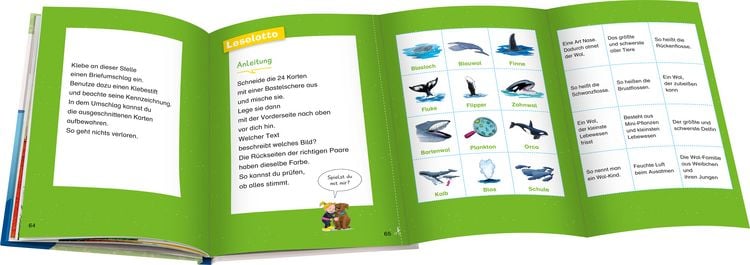 Produktbild: Wieso? Weshalb? Warum? Erstleser, Band 3: Wale und Delfine