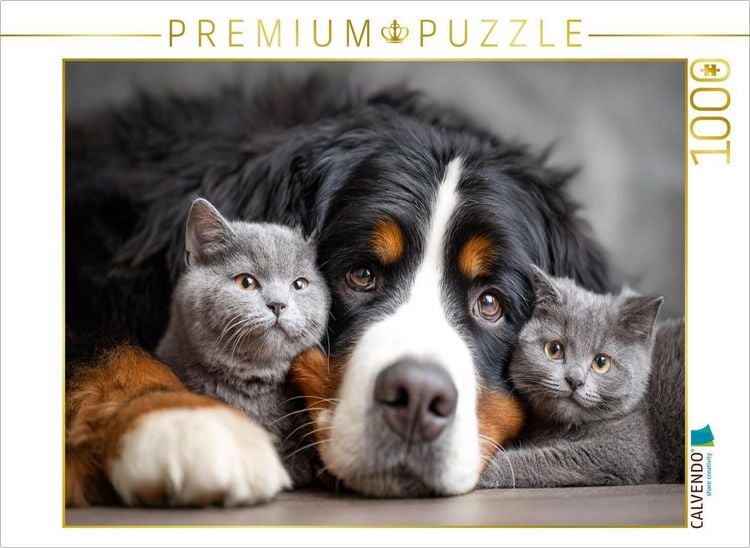 Produktbild: CALVENDO Puzzle Verbindung | 1000 Teile Lege-Gr&ouml;&szlig;e 64x48cm Foto-Puzzle f&uuml;r gl&uuml;ckliche Stunden