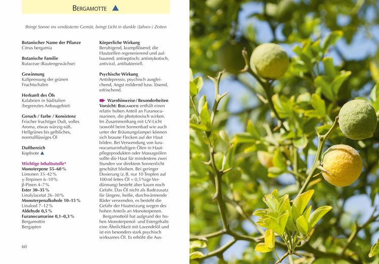 Produktbild: Handbuch &Auml;therische &Ouml;le