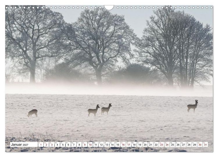 Produktbild: Wildtiere im M&uuml;ritz-Nationalpark (Wandkalender 2027 DIN A3 quer), CALVENDO Monatskalender