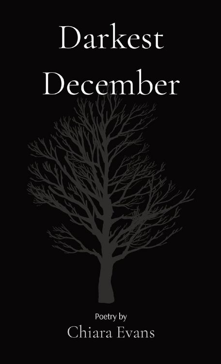 Produktbild: Darkest December