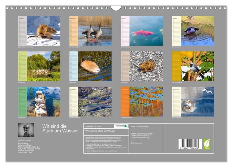 Produktbild: Wir sind die Stars am Wasser (Wandkalender 2026 DIN A3 quer), CALVENDO Monatskalender