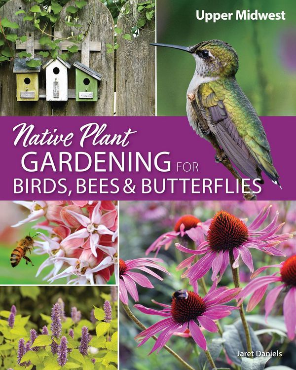 Produktbild: Native Plant Gardening for Birds, Bees & Butterflies: Upper Midwest