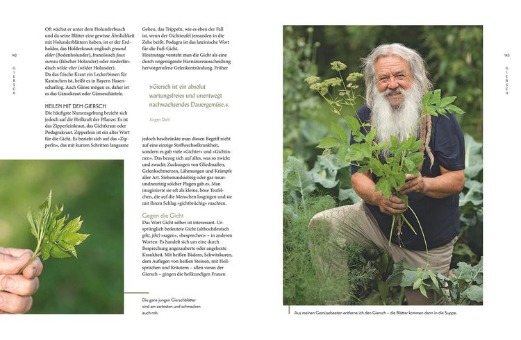 Produktbild: Die "Unkr&auml;uter" in meinem Garten