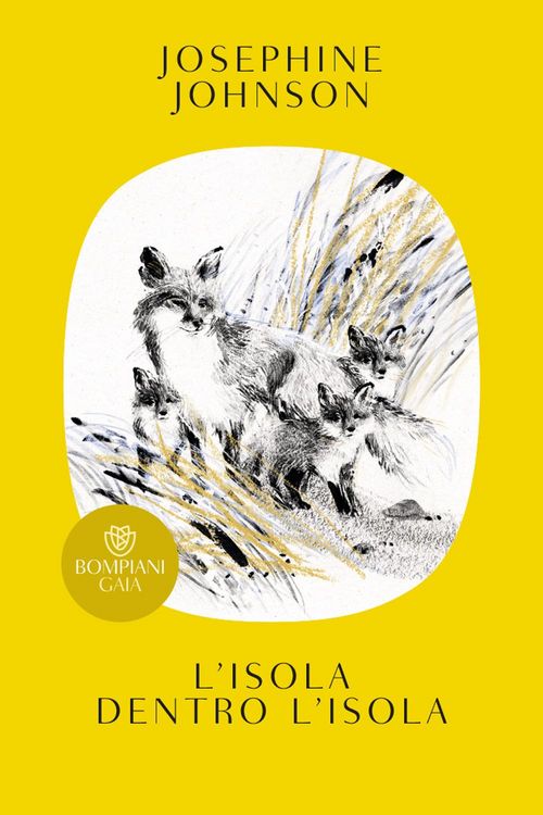 Produktbild: L' isola dentro l'isola