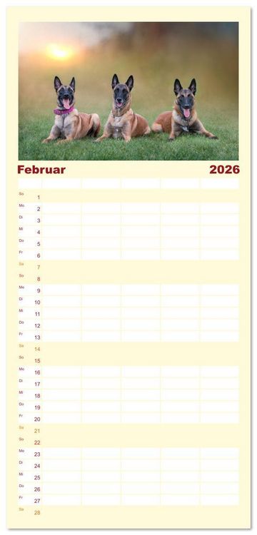 Produktbild: Familienplaner 2026 - Traumhund Malinois mit 5 Spalten (Wandkalender, 21 x 45 cm) CALVENDO