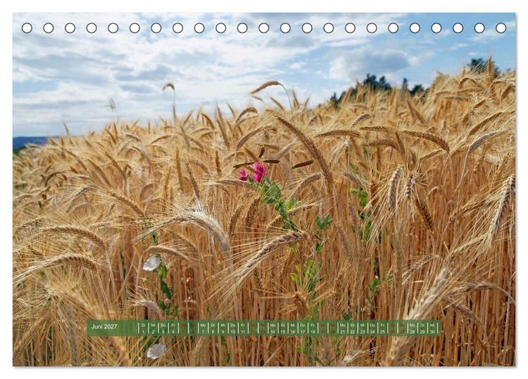 Produktbild: Feldansichten (Tischkalender 2027 DIN A5 quer), CALVENDO Monatskalender