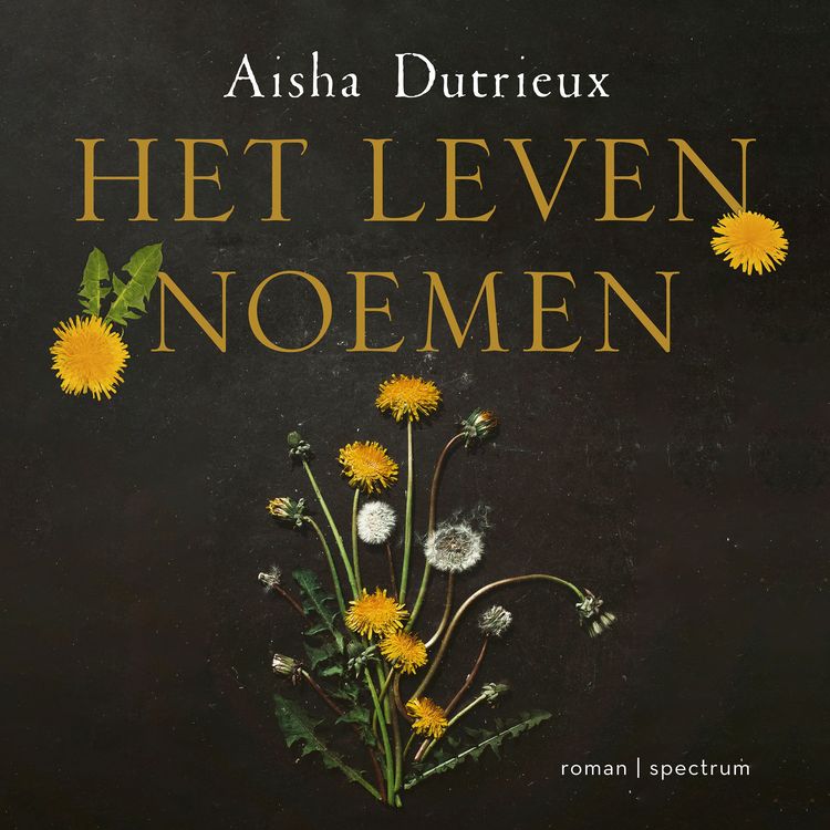 Produktbild: Het leven noemen