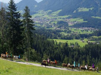 Produktbild: CALVENDO Puzzle Auf dem Weg durch das "S&ouml;lllandl" | 1000 Teile Lege-Gr&ouml;&szlig;e 64x48cm Foto-Puzzle f&uuml;r gl&uuml;ckliche Stunden