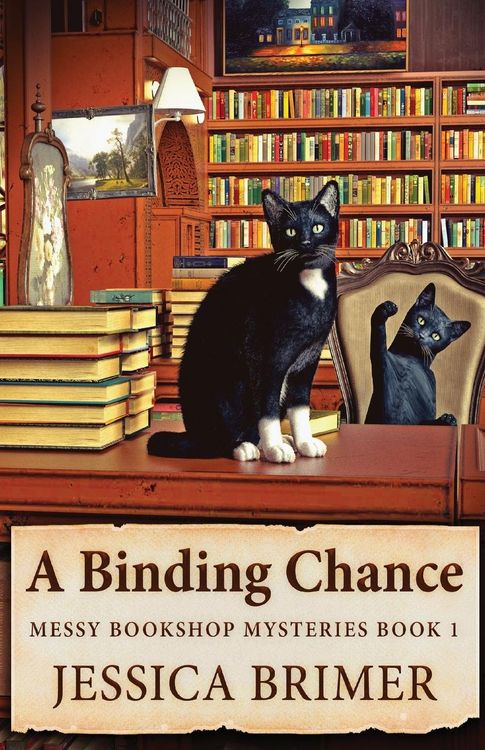 Produktbild: A Binding Chance