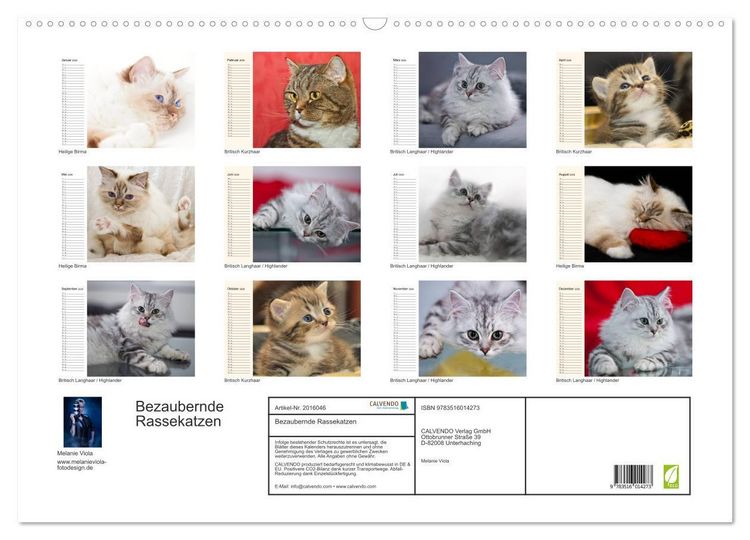 Produktbild: Bezaubernde Rassekatzen (Wandkalender 2026 DIN A2 quer), CALVENDO Monatskalender