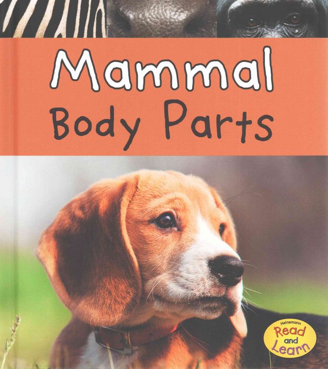 Produktbild: Mammal Body Parts