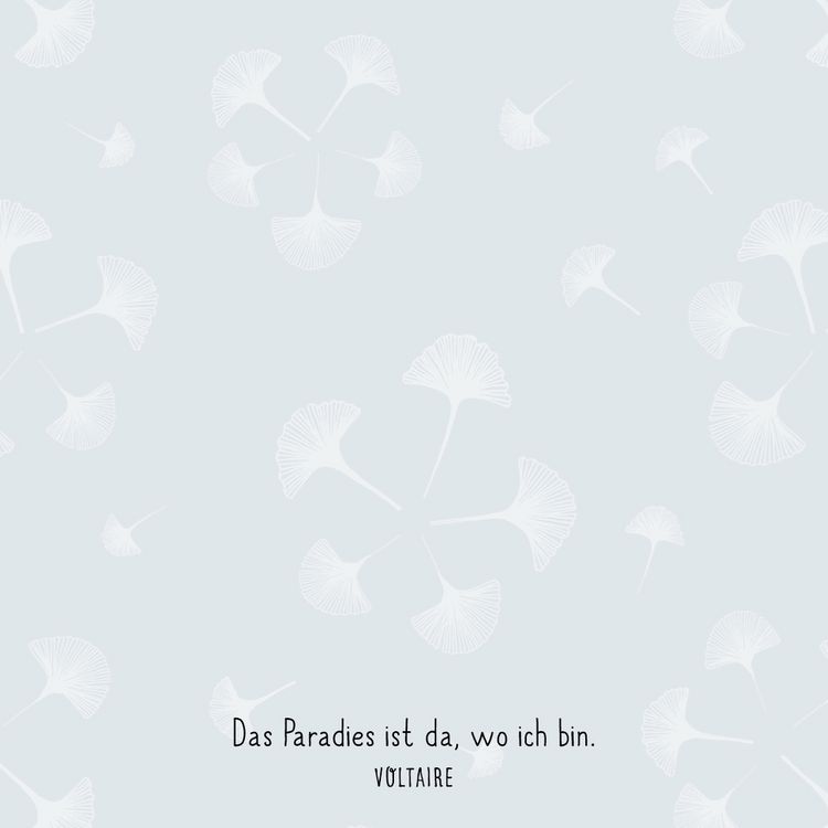 Produktbild: Zettelk&auml;stchen