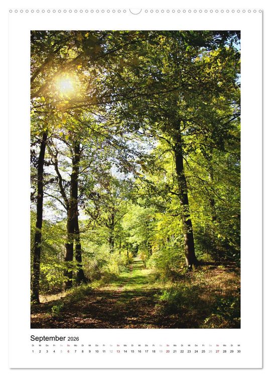 Produktbild: Mein Sehnsuchtsort, der Wald (Wandkalender 2026 DIN A2 hoch), CALVENDO Monatskalender