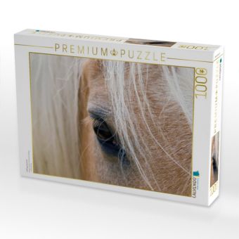 Produktbild: CALVENDO Puzzle Haflingerportrait | 1000 Teile Lege-Gr&ouml;&szlig;e 64x48cm Foto-Puzzle f&uuml;r gl&uuml;ckliche Stunden