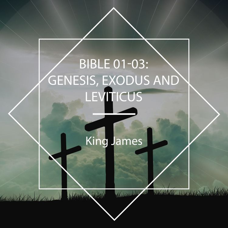 Produktbild: Bible 01-03: Genesis, Exodus and Leviticus