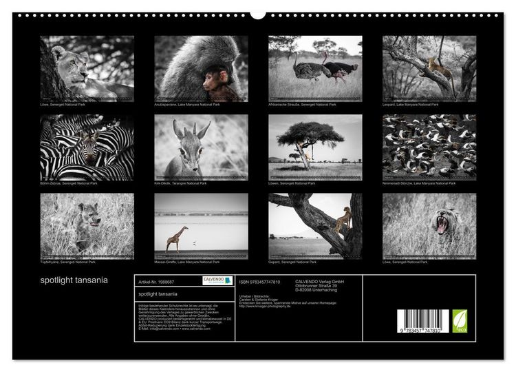 Produktbild: spotlight tansania (hochwertiger Premium Wandkalender 2026 DIN A2 quer), Kunstdruck in Hochglanz