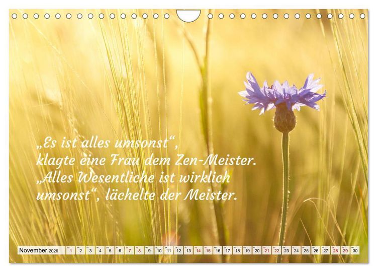 Produktbild: Und der Zen-Meister sprach (Wandkalender 2026 DIN A4 quer), CALVENDO Monatskalender