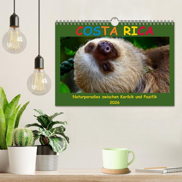 Produktbild: Costa Rica - Naturparadies zwischen Karibik und Pazifik (Wandkalender 2026 DIN A4 quer), CALVENDO Monatskalender