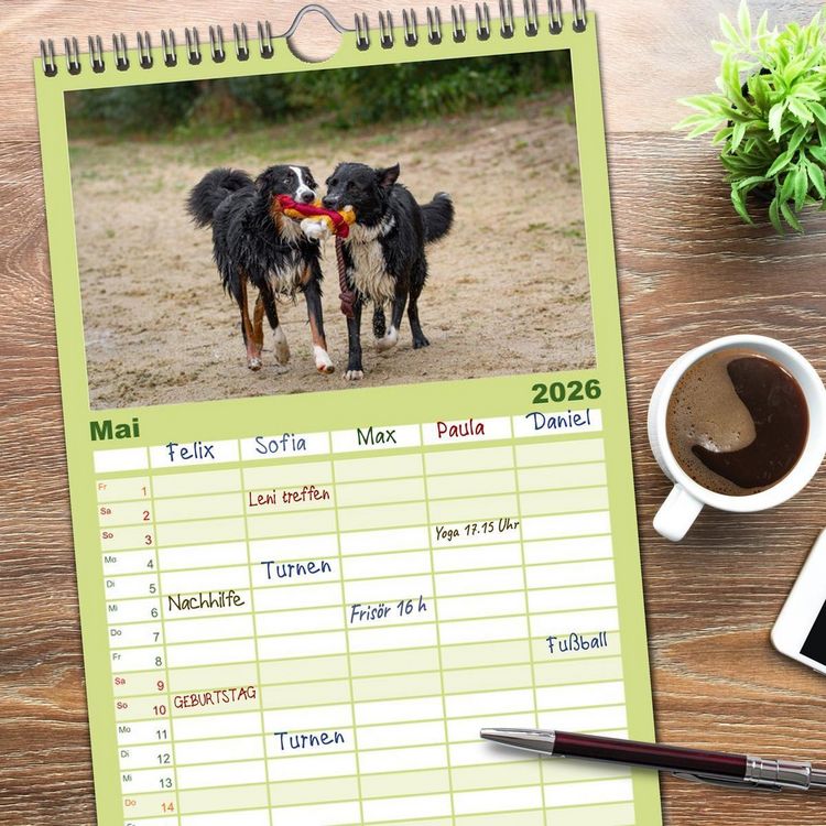 Produktbild: Familienplaner 2026 - Hunde Action mit 5 Spalten (Wandkalender, 21 x 45 cm) CALVENDO