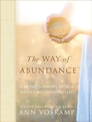 Produktbild: The Way of Abundance