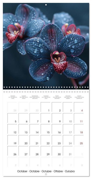 Produktbild: colorful orchid family planner (Wall Calendar 2026 12 &times; 12 Inch) CALVENDO 12 Month Wall Calendar