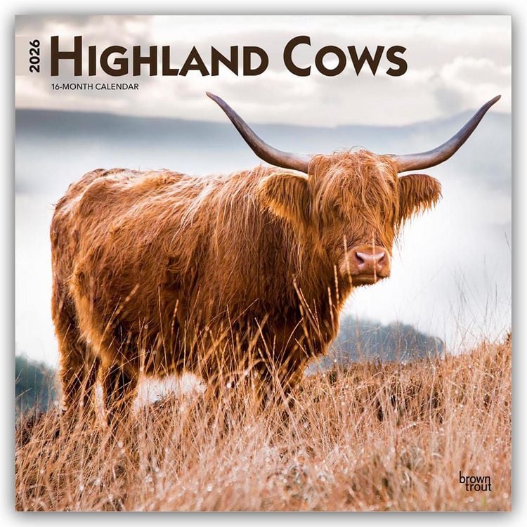 Produktbild: Highland Cows – Hochlandrinder 2026 – 16-Monatskalender