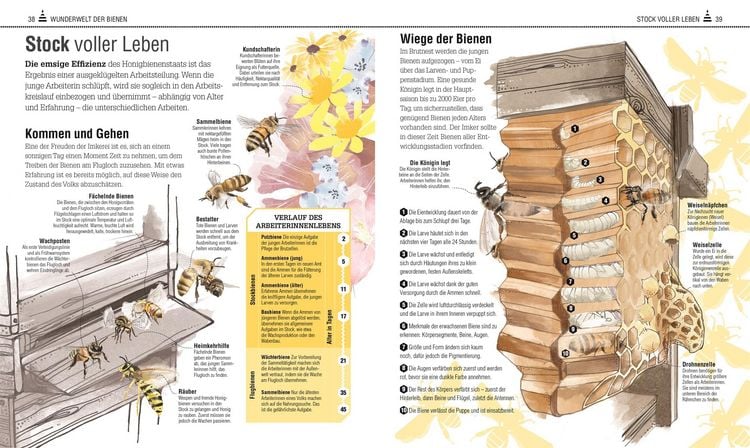 Produktbild: Das Bienen Buch