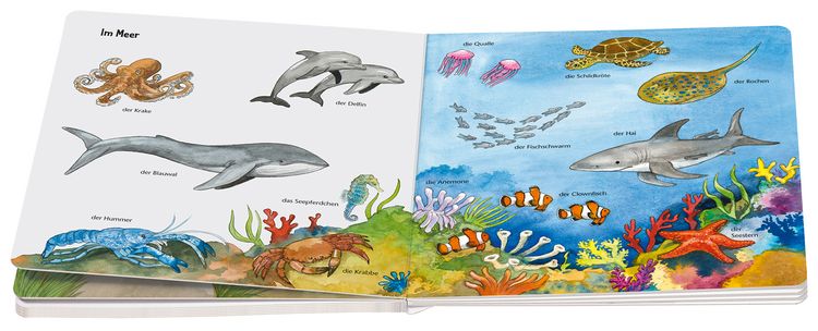 Produktbild: Ministeps: Mein allererstes Tierlexikon