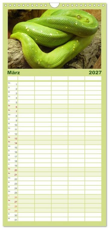 Produktbild: Familienplaner 2027 - Schlangen mit 5 Spalten (Wandkalender, 21 x 45 cm) CALVENDO