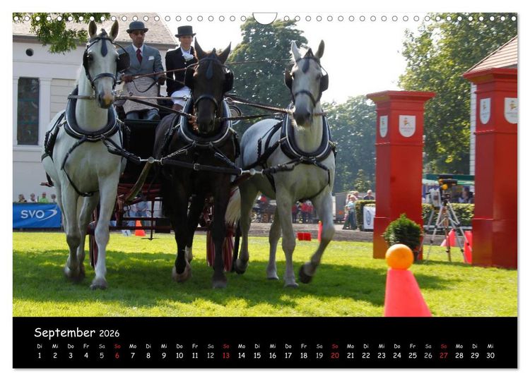 Produktbild: CIAT - Historischer Fahrsport in Celle (Wandkalender 2026 DIN A3 quer), CALVENDO Monatskalender