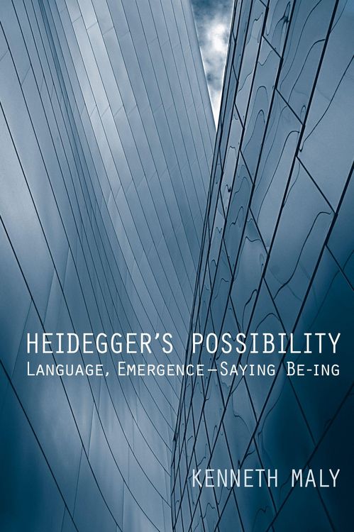 Produktbild: Heidegger's Possibility