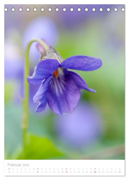 Produktbild: Wiesenblumen (Tischkalender 2026 DIN A5 hoch), CALVENDO Monatskalender