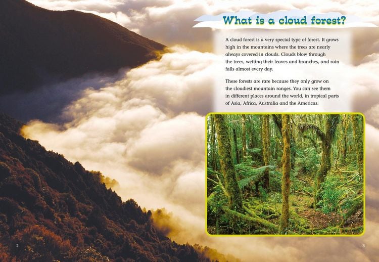 Produktbild: The Cloud Forest