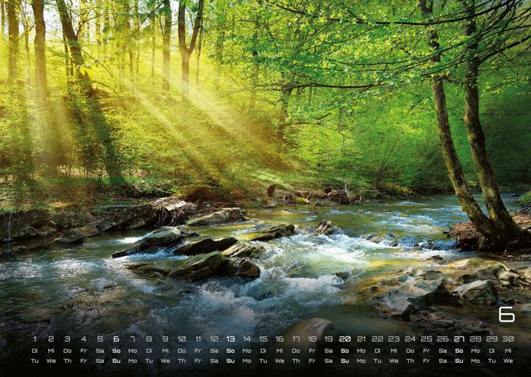 Produktbild: Wald - Erholung f&uuml;r Mensch und Tier - 2027 - Kalender DIN A2