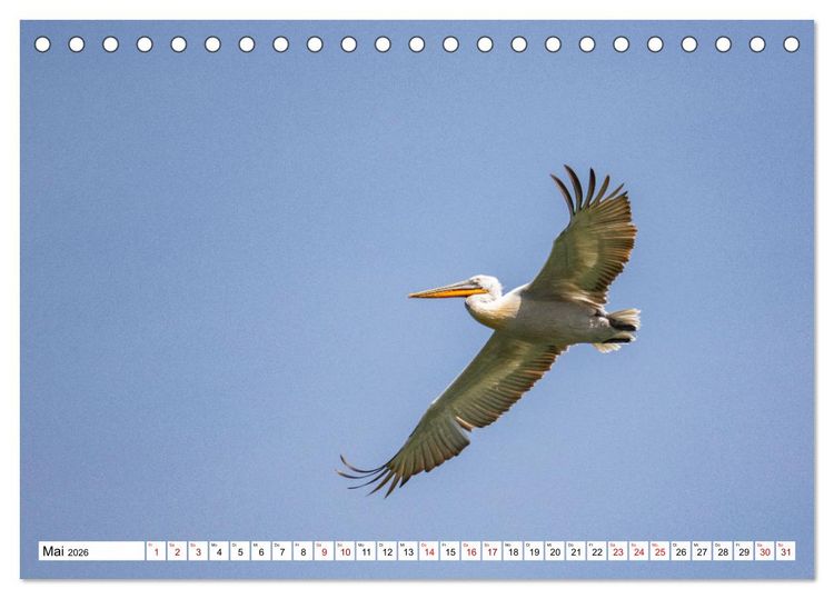Produktbild: Vogelparadies Volvi-See (Tischkalender 2026 DIN A5 quer), CALVENDO Monatskalender