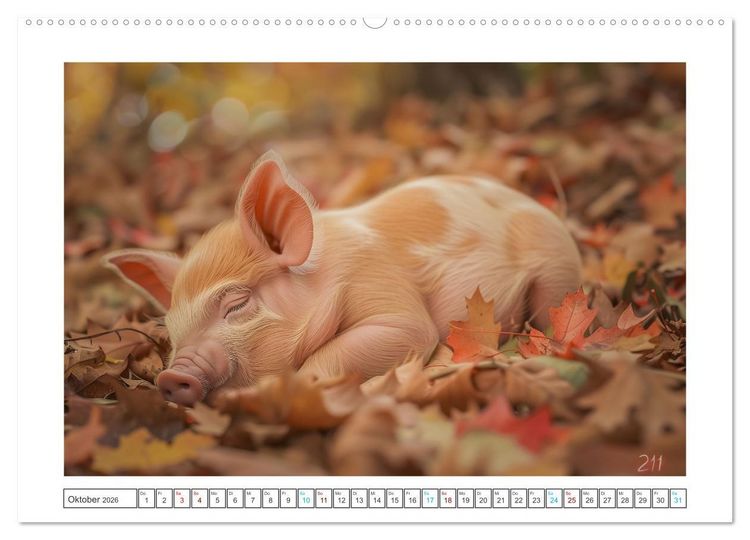 Produktbild: Pure Gl&uuml;cksmomente (Wandkalender 2026 DIN A2 quer), CALVENDO Monatskalender