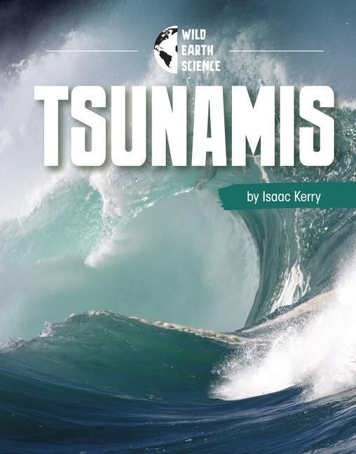 Produktbild: Tsunamis