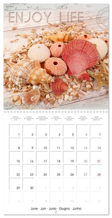 Produktbild: Life is better at the sea (Wall Calendar 2026 12 &times; 12 Inch) CALVENDO 12 Month Wall Calendar